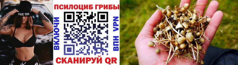 Галлюциногенные грибы прущие грибы  купить наркотик  Амурск 