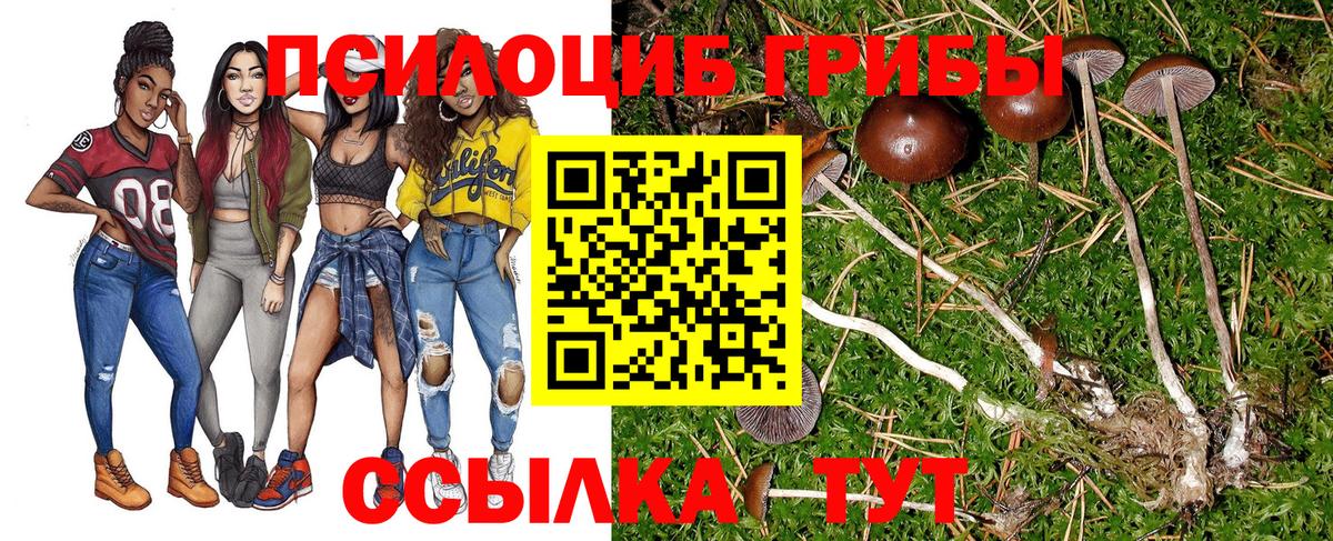 Амурск  Псилоцибиновые грибы Magic Shrooms  Вход с VPN  Галлюциногенные грибы MAGIC MUSHROOMS 
