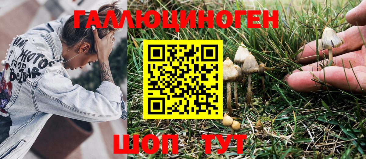 продажа наркотиков  Амурск  Псилоцибиновые грибы мухоморы 