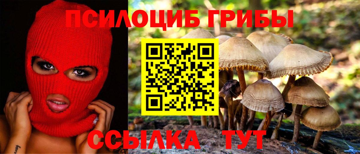 Галлюциногенные грибы Psilocybine cubensis Амурск