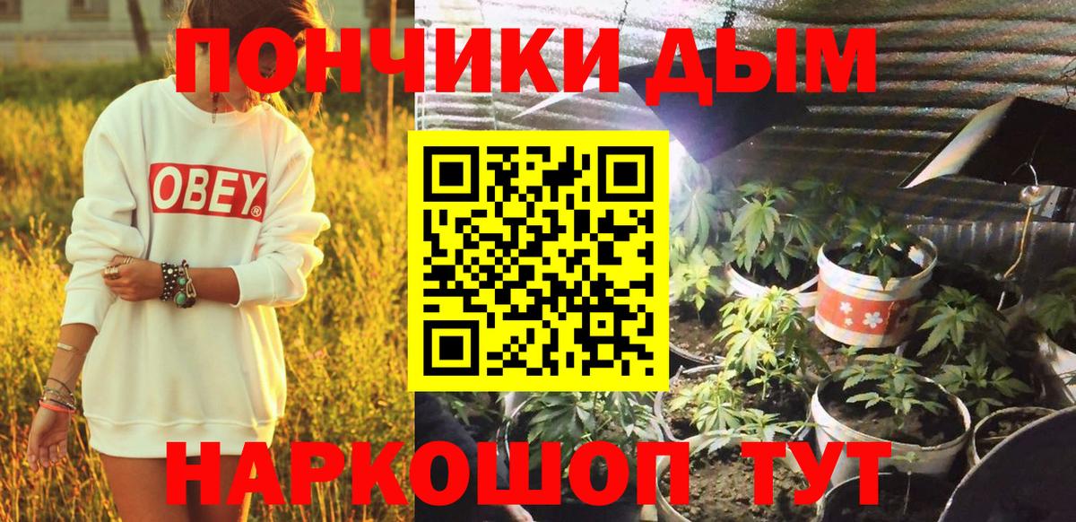 МАРИХУАНА сатива Амурск